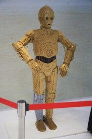 IMG_0799