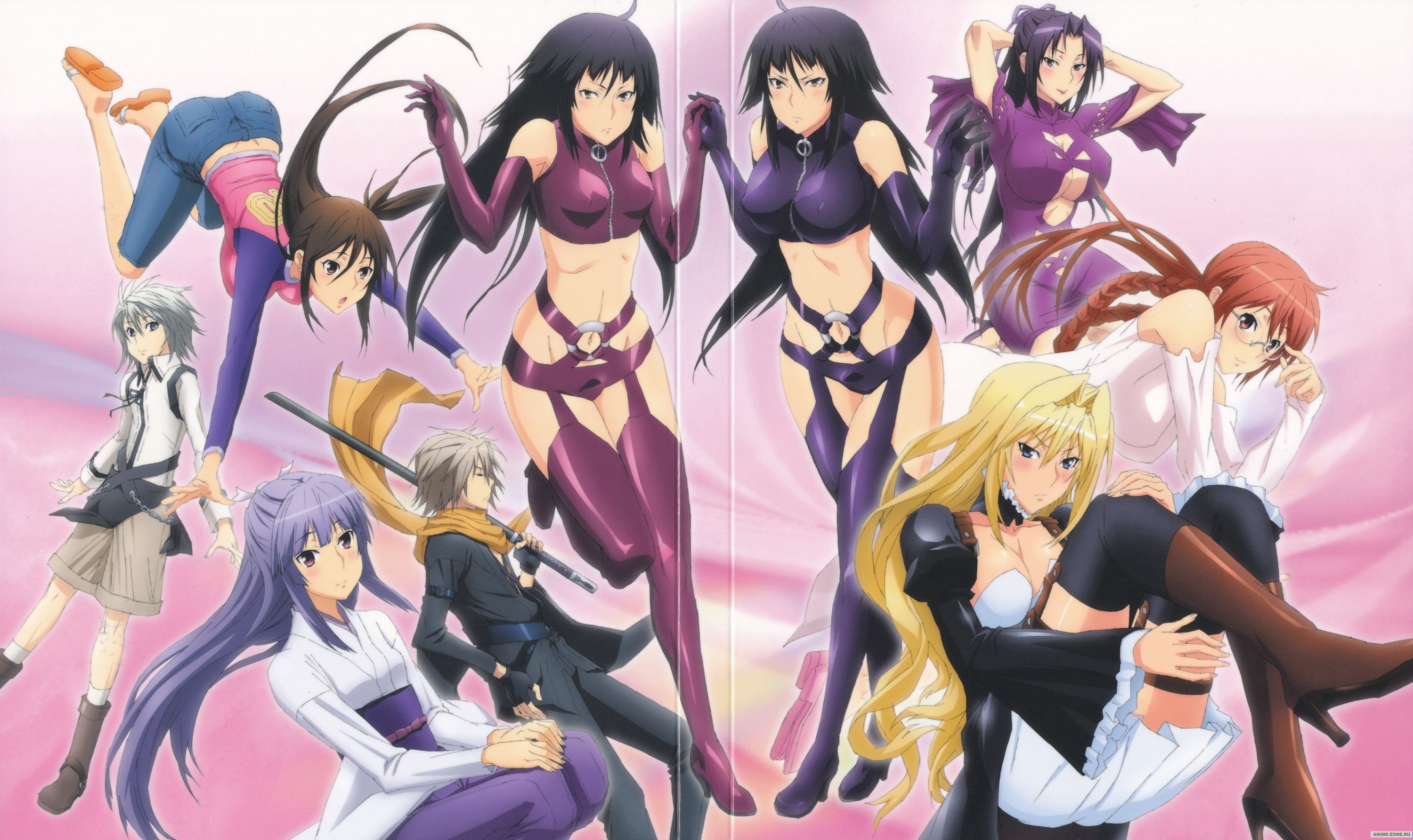 Sekirei game